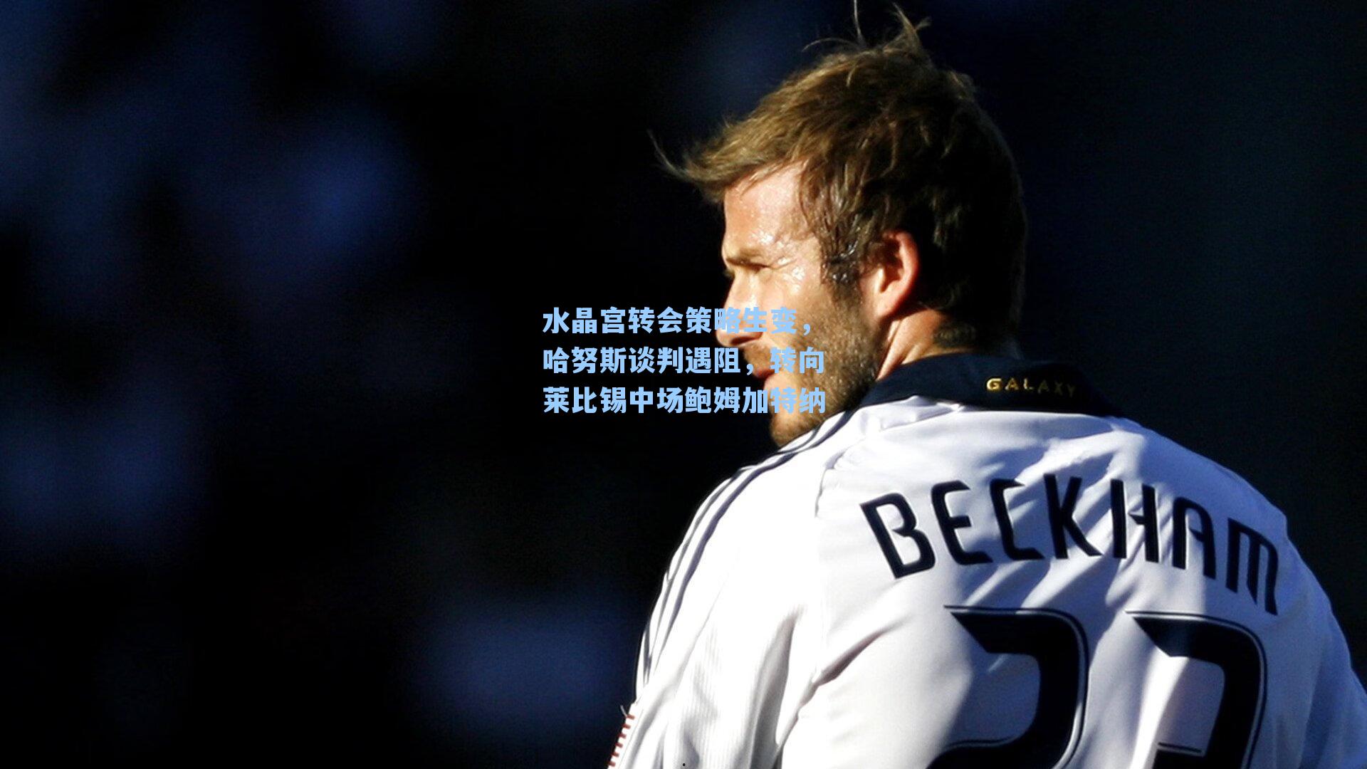 水晶宫转会策略生变,哈努斯谈判遇阻,转向莱比锡中场鲍姆加特纳