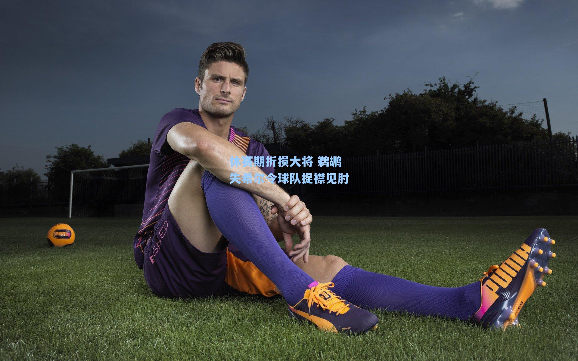 休赛期折损大将 鹈鹕失希尔令球队捉襟见肘