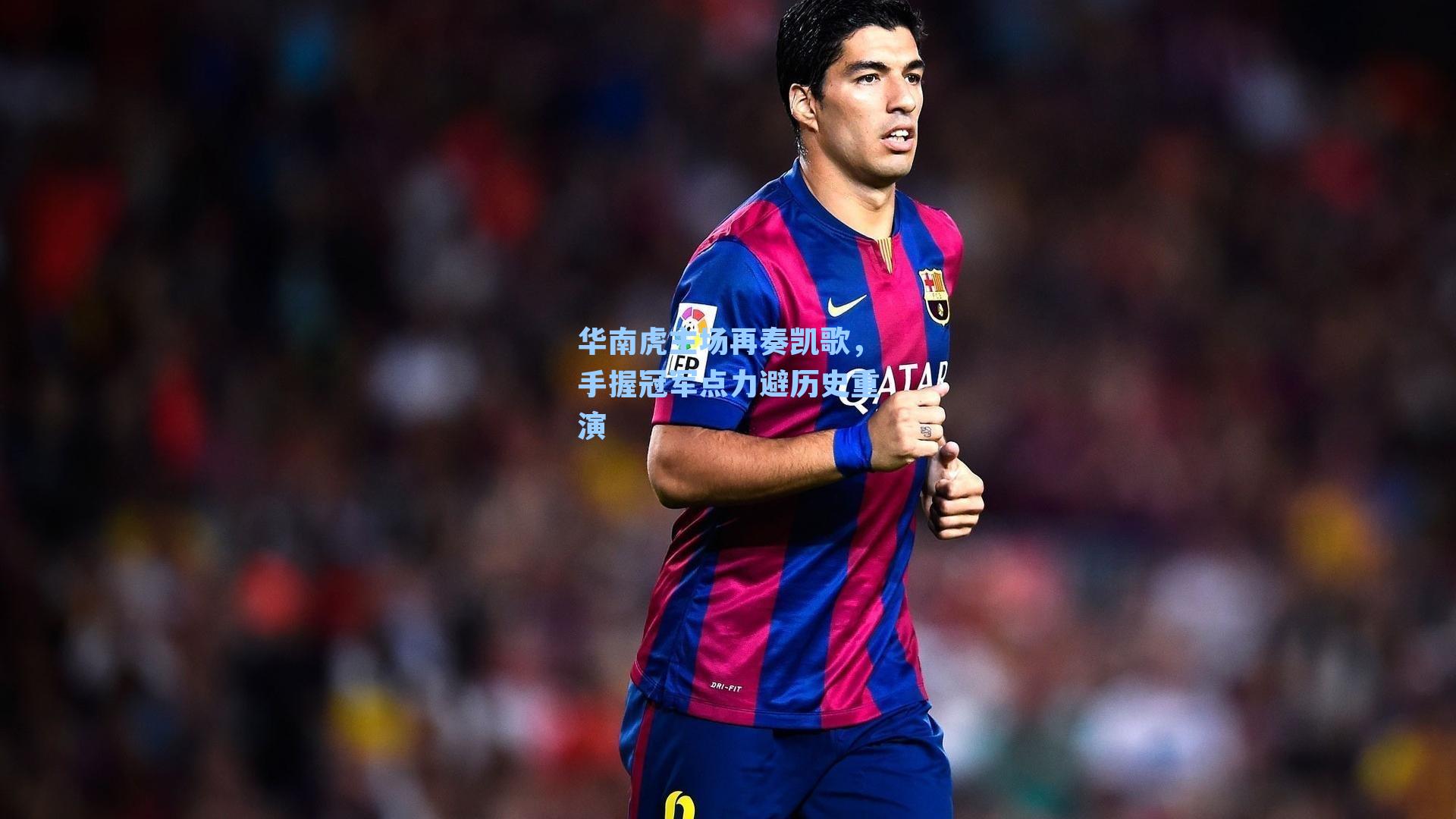 华南虎主场再奏凯歌，手握冠军点力避历史重演